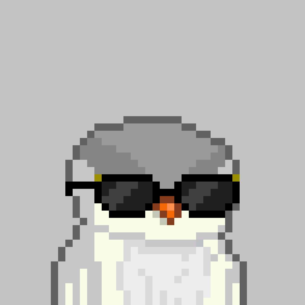 Solarbirds tweet media