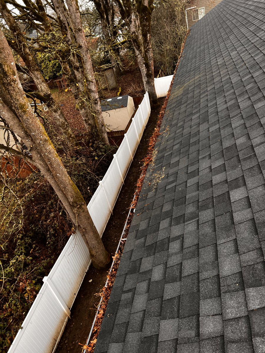 IbexRoof's tweet photo. All 4 buildings' gutters have been professionally cleaned and maintained to pristine condition!

 #gutter #guttercontractor #guttercleaning #HappyGutters #ibexroof https://t.co/AXUqrjpWYn