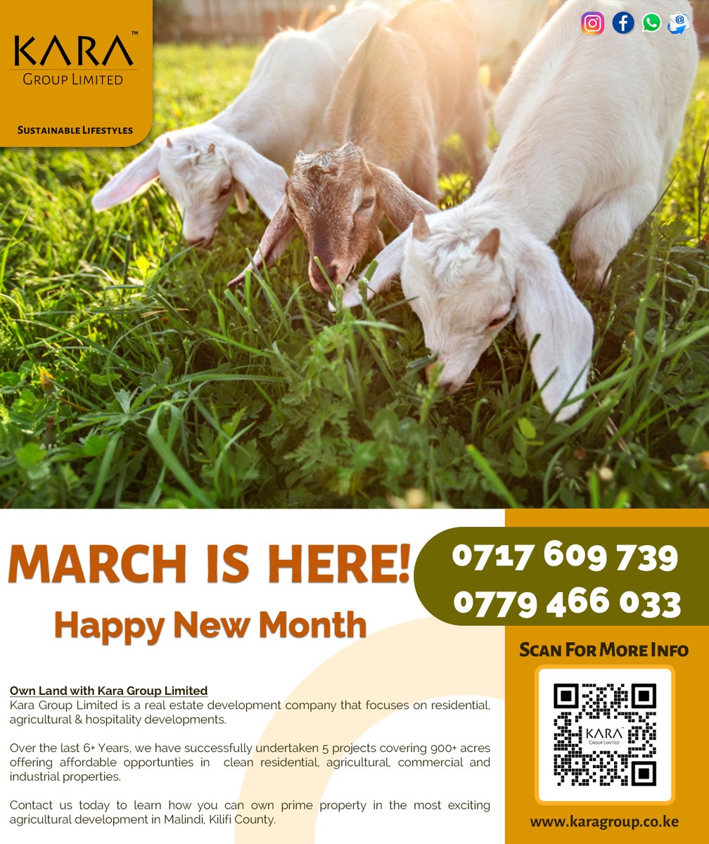 Welcome March!
This is a good month to invest in land today

#land #invest #agriculture #malindi #malindikenya #dakacha #march #newmonth #affordableplots #affordableplotsmalindi #affordableplotskenya #karagrouplimitedplots #karagrouplimited #ranchlife #sustainablelifestyles