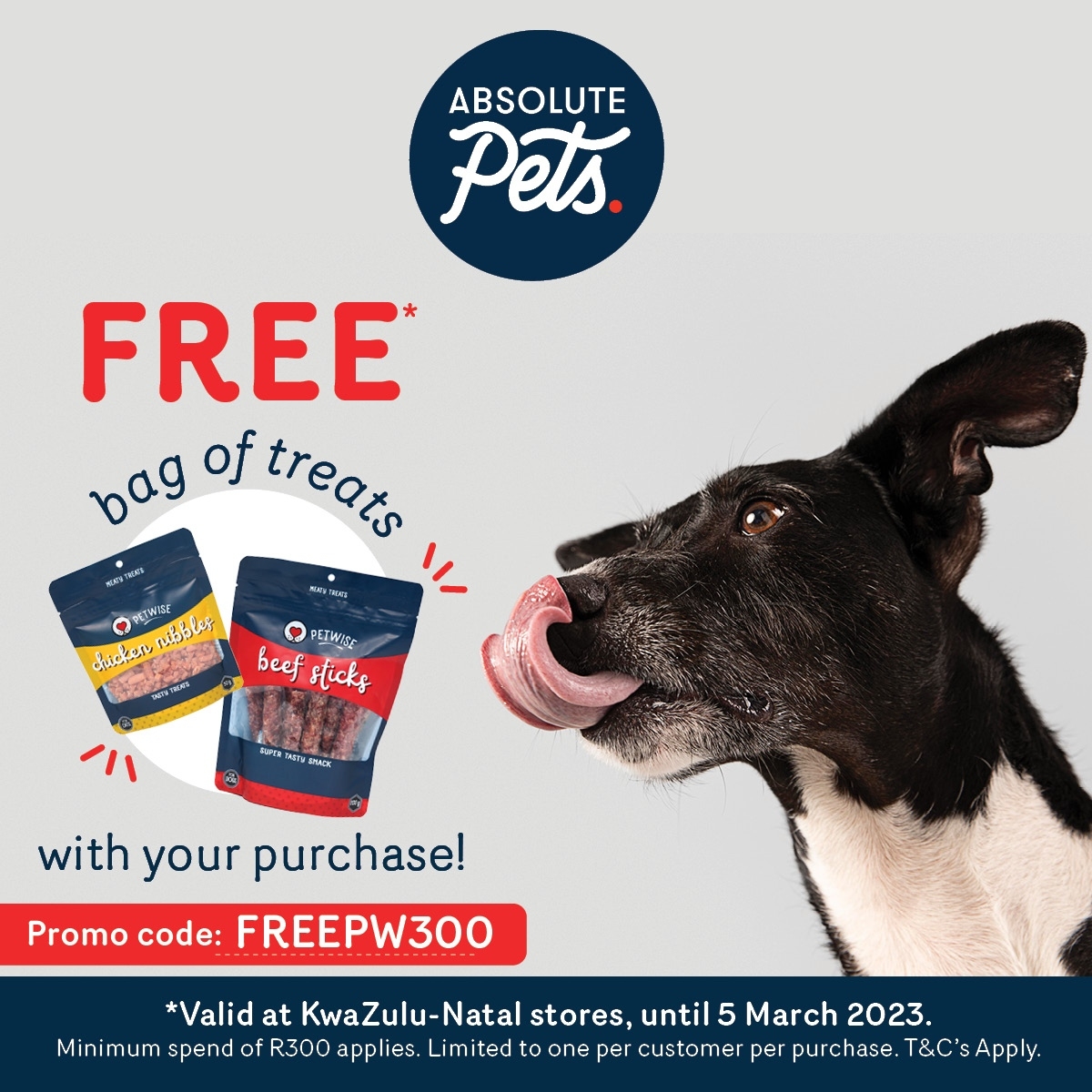 LibMidlandsMall's tweet photo. FREE PET TREATS* with your purchase at @Absolute_Pets!
Spend R300 or more in store and get a FREE bag of healthy meaty treats from Petwise.
#LibertyMidlands #MidlandsMall #absolutePets #DogTreats https://t.co/38oHP9kRw4