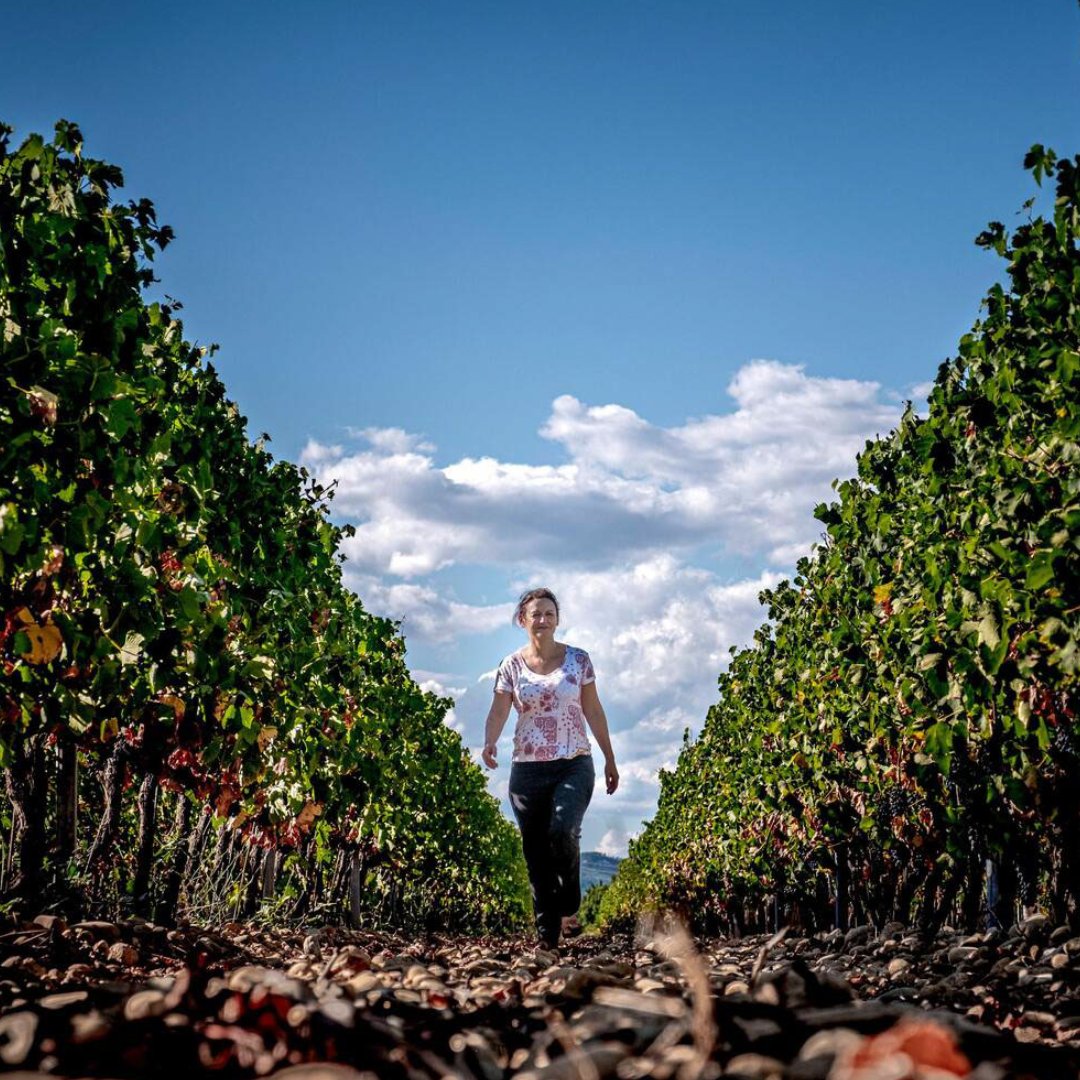 Roberson Wine tweet media