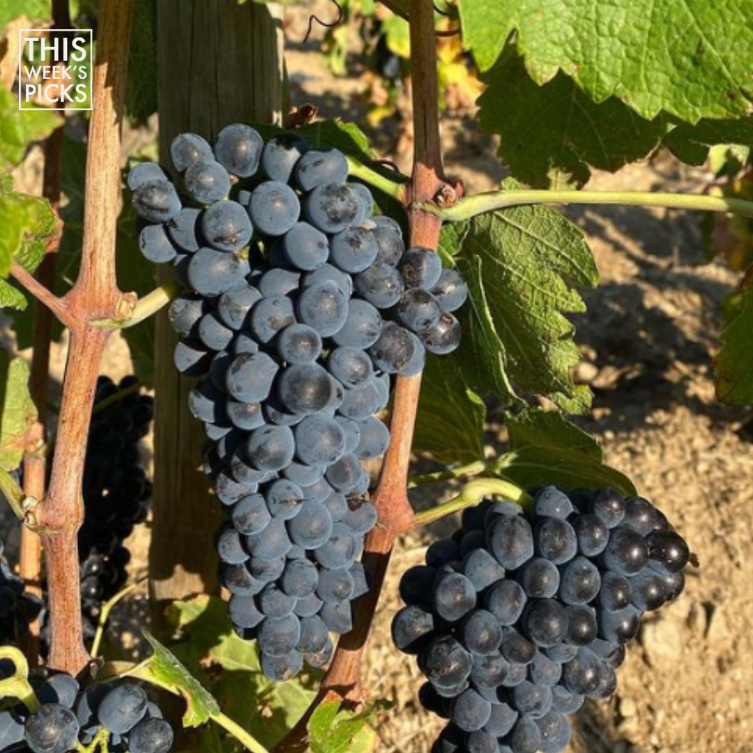 Roberson Wine tweet media