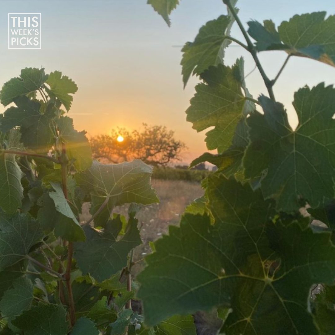 Roberson Wine tweet media