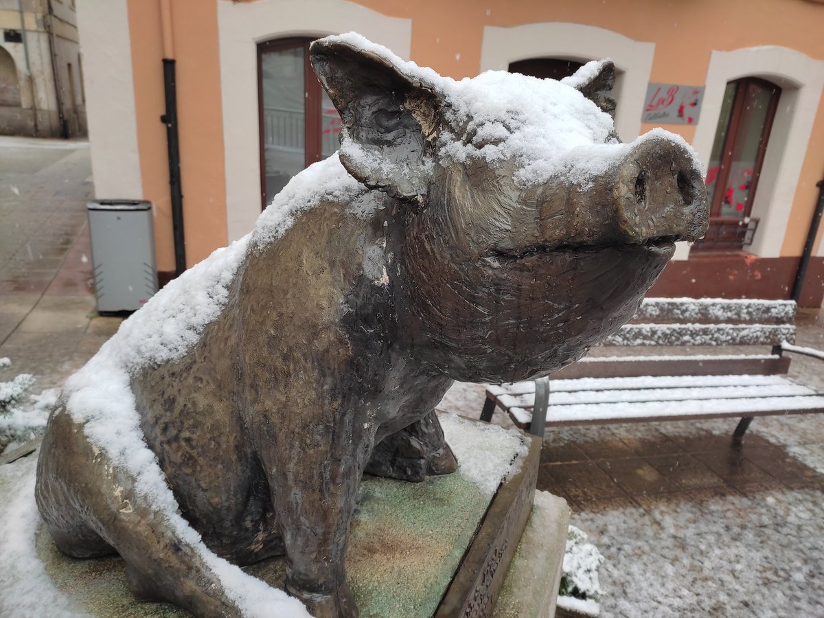 La nieve se deja ver en cotas bajas de Asturias 😍
📍 Noreña, Oviedo/Uviéu
📷@jmlopezcampa y @DaniPerez_Meteo