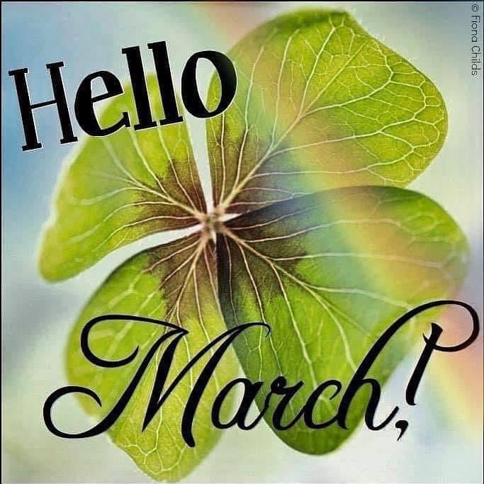 TheEscrowSource's tweet image. 