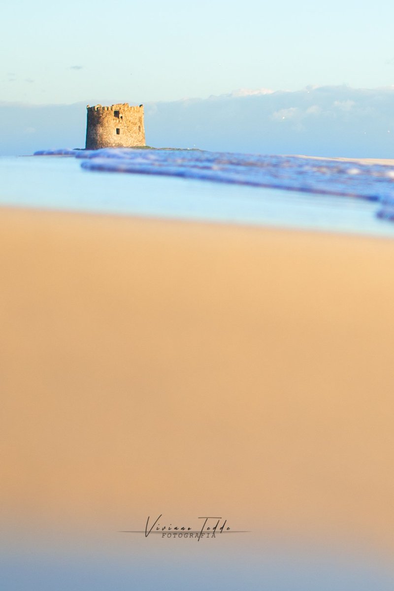 canontedde's tweet photo. La Pelosa
Sardegna
Italy https://t.co/x2G3cqvqzA
