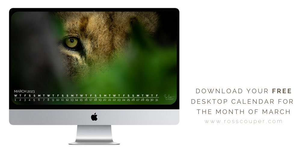 Ross Couper (@rosscouperphoto) / X