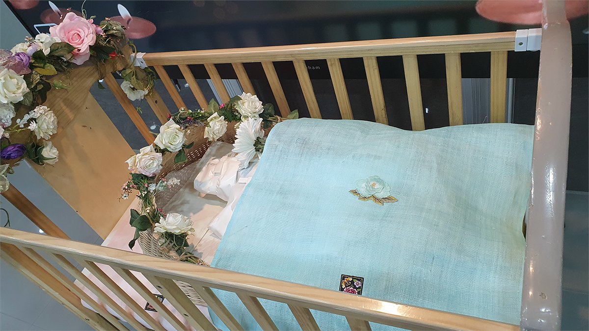 Zenophy/제노피 tweet media