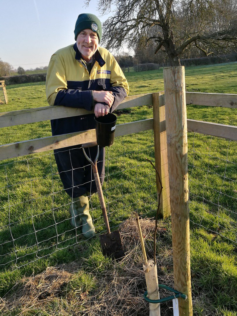 The historic Aylesbury Prune, a type of plum, was harvested by the tonne in the Chilterns for the London market and for dying in the local straw hat industry. Local farmers are now re-establishing this fruit tree alongside grazing. @ChilternsCCC @HeritageFundUK @ChilternsAONB