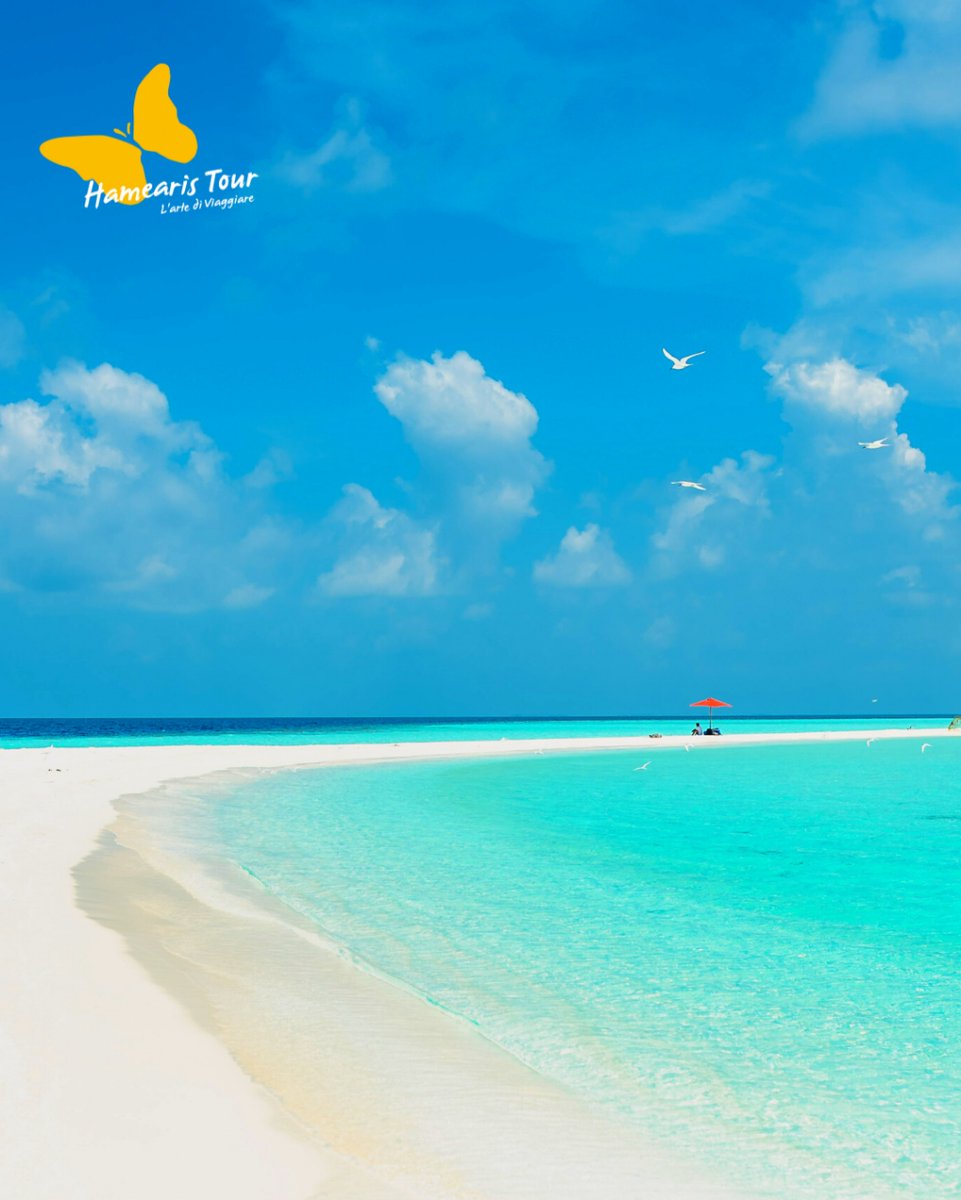 HamearisTour's tweet photo. BAHAMAS - OFFERTA STREPITOSA!

Partenza il 29 giugno da Milano
Villaggio in All Inclusive
9 giorni - 7 notti
da € 1962,00

Meravigliose isole tropicali, sinonimo di relax, lusso e mare ineguagliabile, rappresentano il viaggio perfetto. 
Spiagge dalle sabbie finissime, d’un… https://t.co/RADytWfrbi