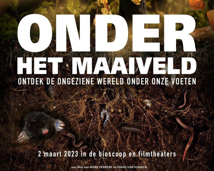 #bioskaartjes #winnen! Vanaf morgen, 2 maart, is Herenboeren in de bioscoop te zien in de film #Onder #Het #Maaiveld! 🐛🪱🐞🐌🌱🎥🎬 Deel deze post en maak kans op 𝗴𝗿𝗮𝘁𝗶𝘀 𝗸𝗮𝗮𝗿𝘁𝗷𝗲𝘀! De winnaars worden 7 maart bekend gemaakt. 
Biosinfo: onderhetmaaiveldfilm.nl