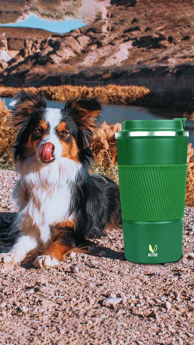 Travel - Fly - Carry - Anywhere You Want With Your Best Buddy ! ✨

#vactive #vactiveforyou #officemug #coffeemug #officemug #officewear #coffee #vacuum #coffeemug #corporategifts #hydration #kitchenstorage