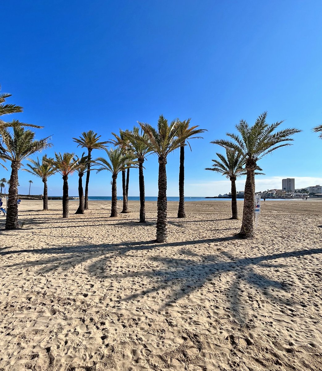 PosidoniaJavea's tweet photo. Un lujo poder siempre disfrutar de estas vistas 💙🌴🌊
~~
A luxury to be able to enjoy these views 💙🌴🌊

#restauranteposidonia #dondecomerenjavea #playadelarenaljavea #mediterraneanlife #mediterraneanviews #seaviews #grupolafontana #mediterraneansea https://t.co/bLJGA9uzlx