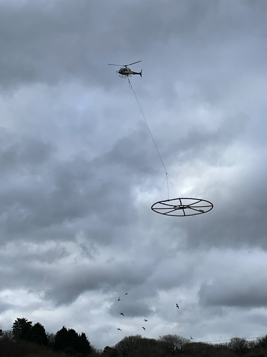 Graham Bird tweet media