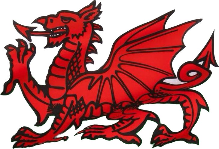 Patch 🐾🚛 tweet media