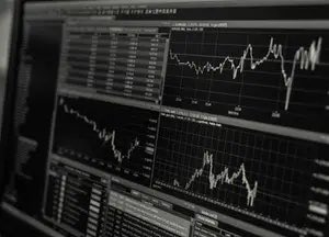 Steve Burns tweet media