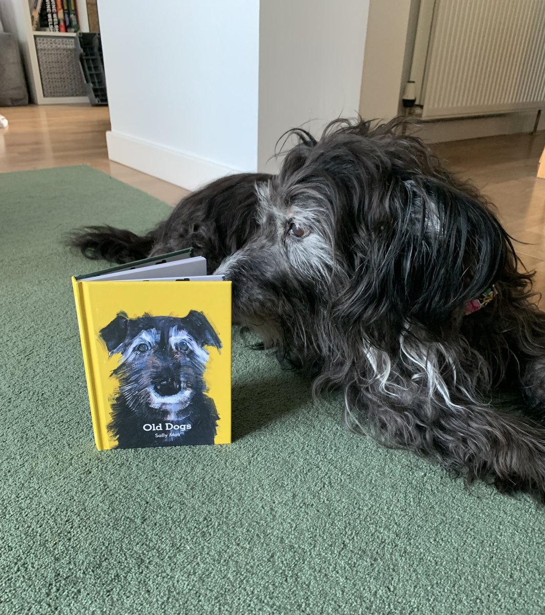 Beautiful book. Just had to buy it for my old girl. Really good of @salmuirAdogaday to put her on the cover… #seniordog #RescueDog #dogsoftwitter @ruskin147 @ScottishSPCA