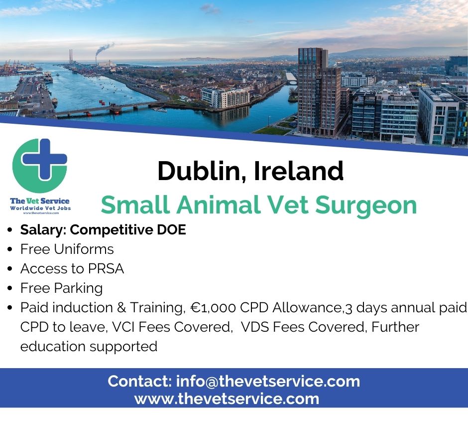 Fantastic opportunity for a Small Animal Vet Surgeon  in Dublin, Ireland 🐶

thevetservice.com/vet-jobs-irela…

#thevetservice #vetstudents #vet #veterinarymedicine #veterinarysurgeon #vetlifestyle #vetlife #vetlocum #vetjob #vetjobs