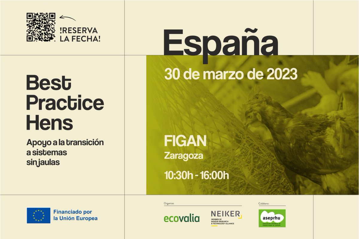 Best Practice Hens tweet media