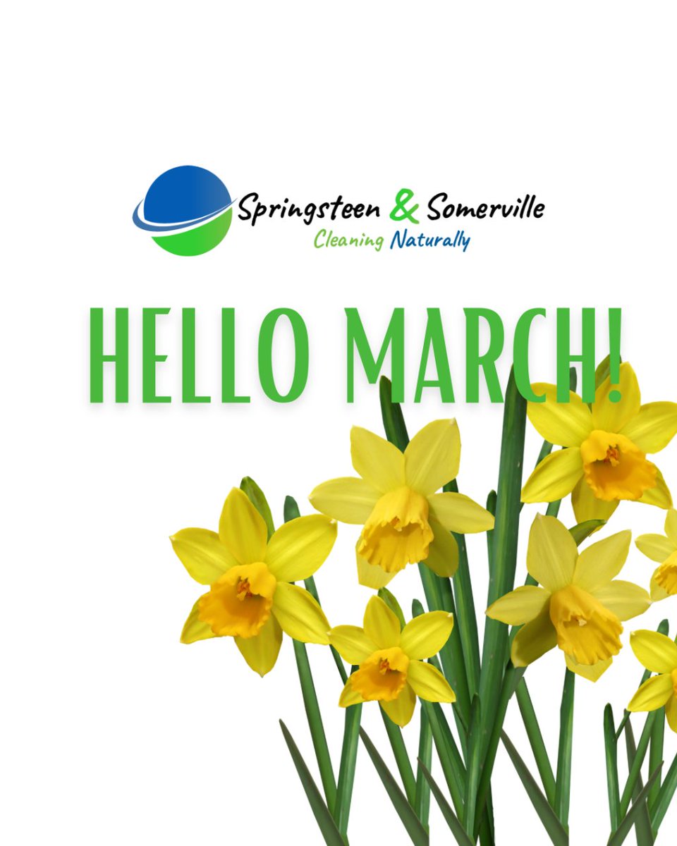 SpringsteenSom1's tweet photo. We’re very nearly into spring: our favourite time of the year!

We cover most of Edinburgh and Midlothian so if you’re looking for a regular cleaning slot, don’t hesitate to drop us a DM!

#springcleaning #cleaning #edinburgh #cleaners #edinburghhomes #thisisedinburgh #eco https://t.co/J8VTcqxH35