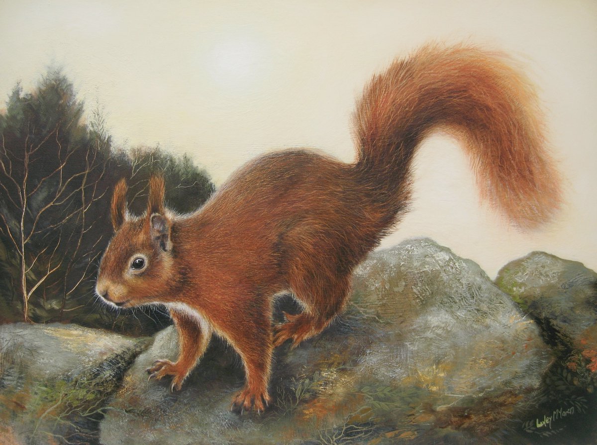 Another red squirrel - rare, but they are around thankfully! Great when you see one darting about. #oilpainting #redsquirrel #scottishwildlife #scottishartist #drystonedyke