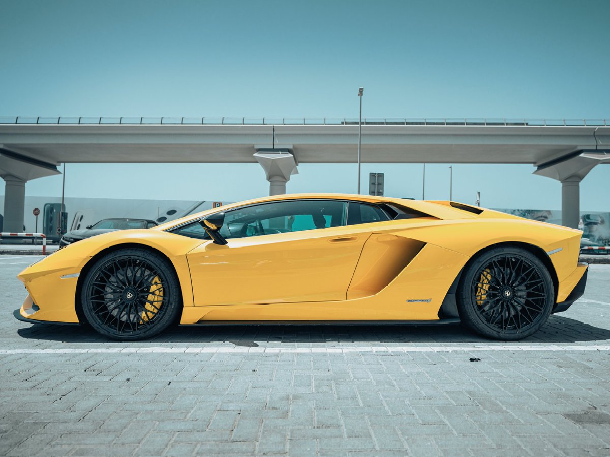 Just normal things in Dubai
.
.
.
.#dubai #luxurycars #Lamborghini #Aventador #car #photography #PhotoOfTheDay