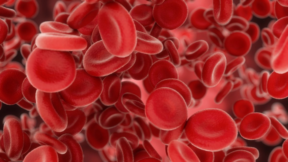 Clinical Expert Series: bleeding disorders in pregnancy. ow.ly/Nkry30su4zY