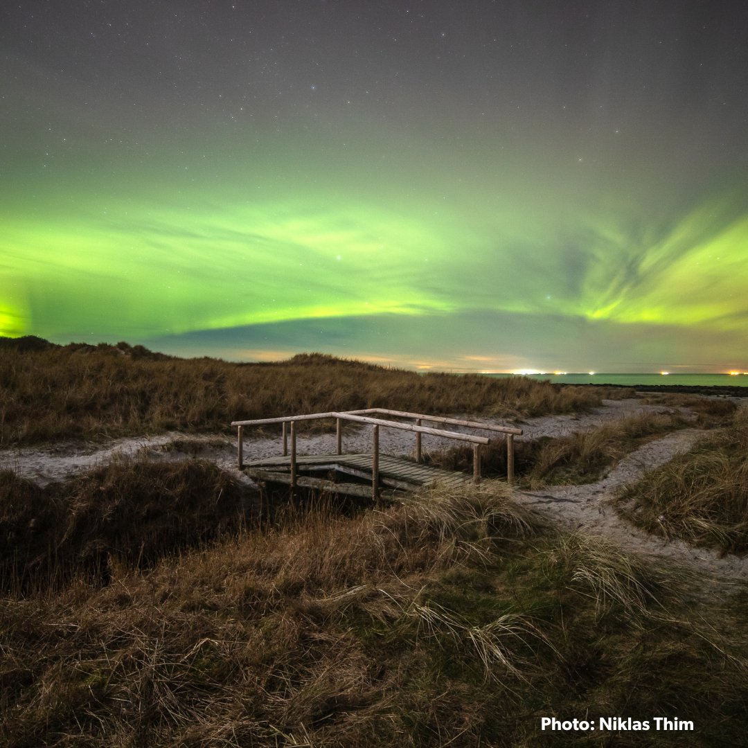 This weekend, it was possible to see the magical northern lights over Denmark🎨✨

It is a relatively rare phenomenon in 🇩🇰, but from time to time, when both the weather allows it and the solar wind is sufficiently active, we can see the beautiful colours light up the night sky☀️