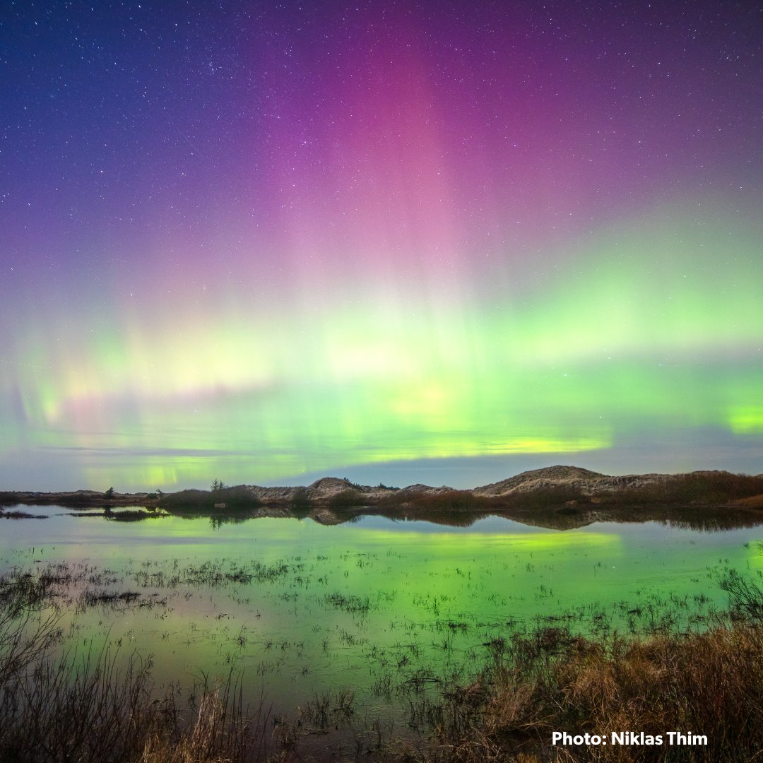 Denmark.dk tweet media