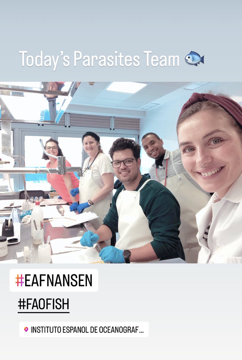 Today’s Parasites Team 🐟
#faofishes #eafnansen @IEO_Canarias #fishparasites