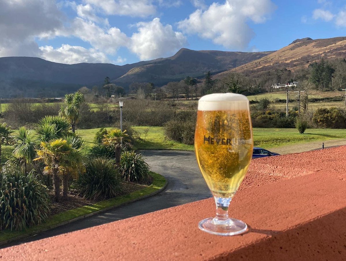 Pints Drank tweet media