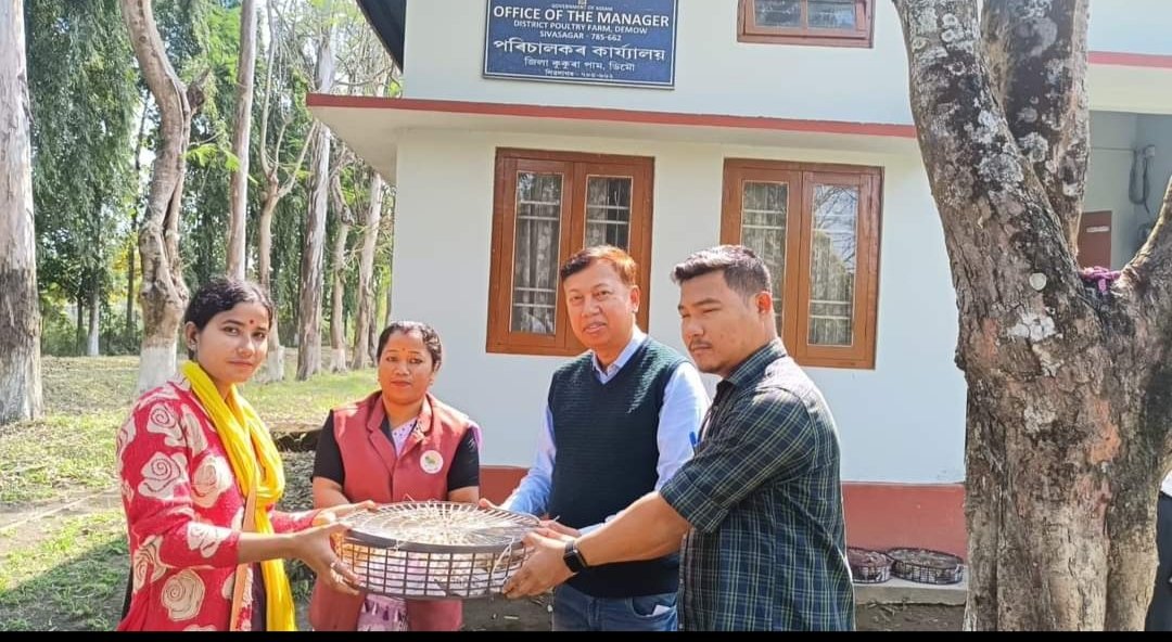 dc_sivasagar's tweet photo. উপায়ুক্তৰ উদ্যোগত আৰু পশুপালন বিভাগ আৰু পঞ্চায়ত আৰু গ্ৰামোন্নয়ন বিভাগৰ অধীনৰ অসম ৰাজ্যিক গ্ৰামীণ জীৱিকা অভিযানৰ যৌথ প্ৰচেষ্টাত ডিমৌস্থিত কুকুৰা পামত উৎপাদিত কুকুৰাৰ পোৱালি অসম ৰাজ্যিক গ্ৰামীণ জীৱিকা অভিযানৰ অধীনৰ আত্মসহায়ক গোটৰ সদস্যক জীৱিকা উত্তৰণৰ বাবে হস্তান্তৰ কৰা হয়। https://t.co/Au5YUbhaMu
