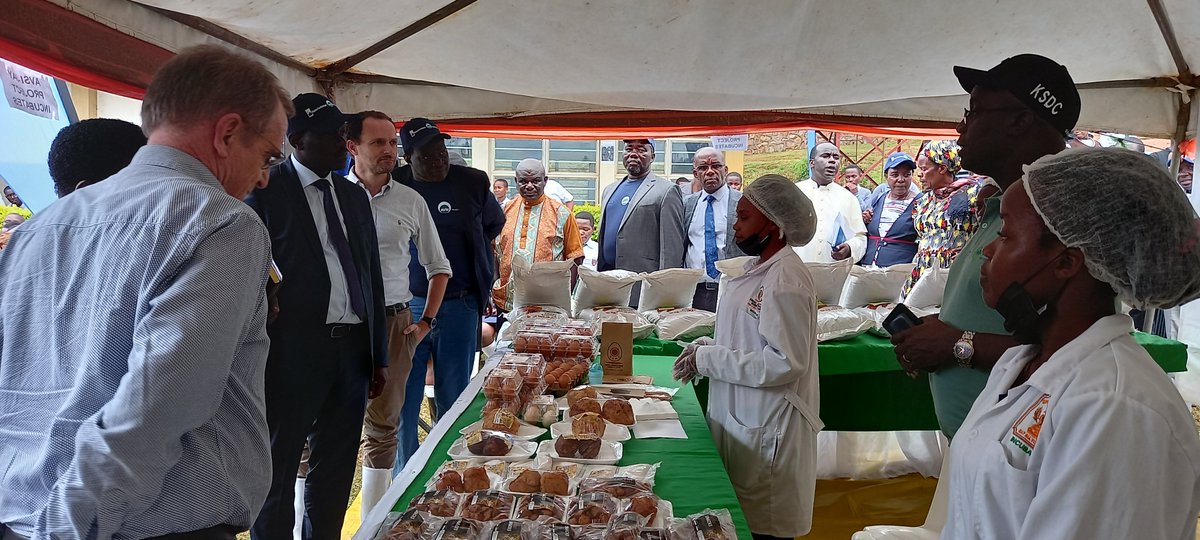 EnockAmpumuza's tweet photo. Gratitude to the @FondazioneAVSI's @TheSAYproject collaboration with the local government structures (in attendance; RDC, Chairperson LCV, CAO of Rubanda and Ibanda Districts), esteemed implementing partners, best youth agripreneurs, and students. https://t.co/0D227oGSO4