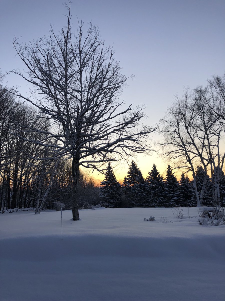 #Wintersunrise as I leave the drive. I try to pause, and remember the day has wonderful potential ☕️❄️☕️ #Maine #winter23 #nature