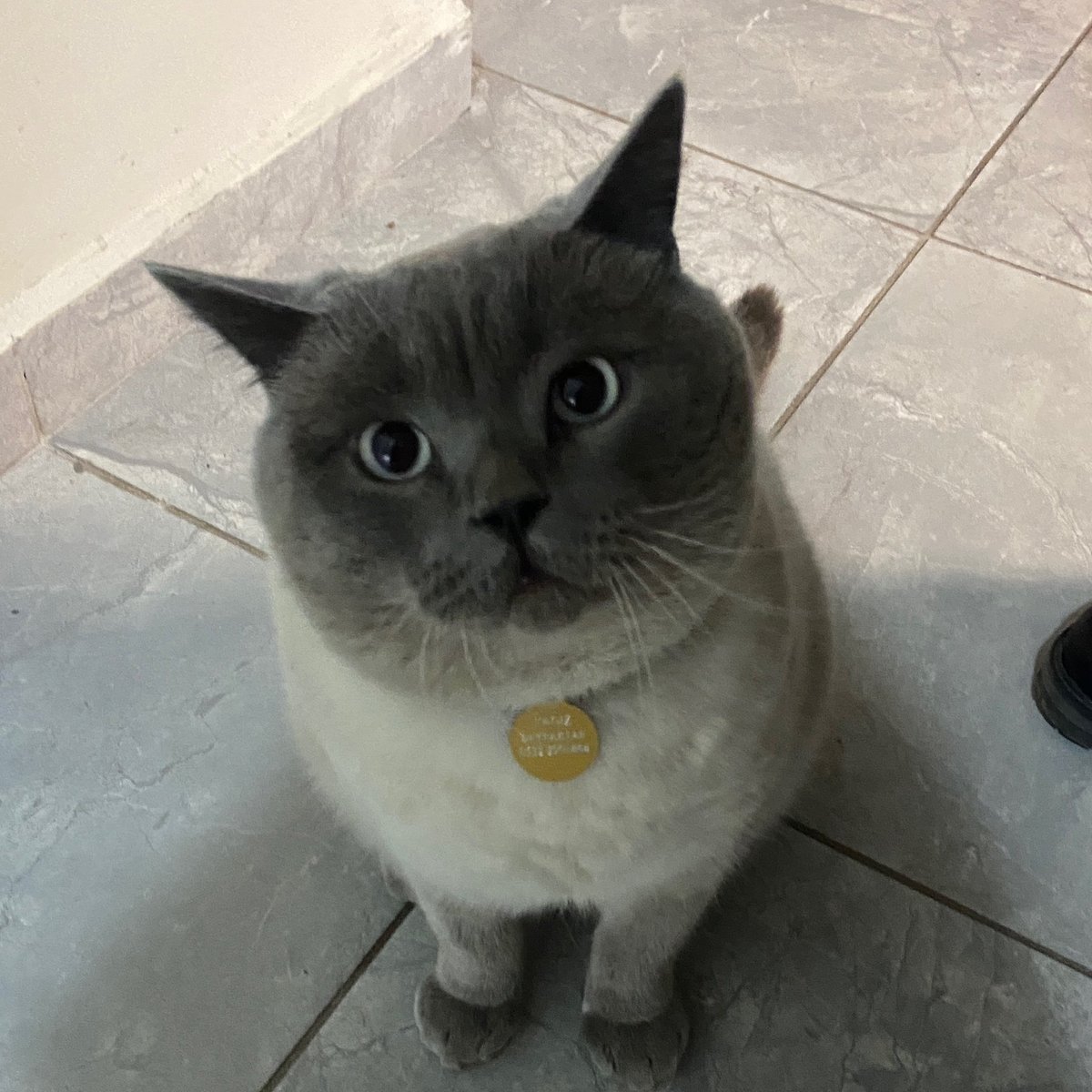 Bamsibaskan's tweet photo. bana bile aday kim diye soruyorlar, benim adayım @06khaleesi 😻🫶 https://t.co/ERX9JJfRCQ