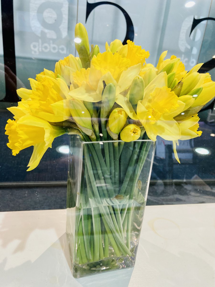 AMinhall's tweet photo. Spring has sprung (in a meteorological way)
Welcome to @ClassicFM 12pm-4pm
#YourRequests
#HallOfFame3At3 https://t.co/H87zLEv5wY