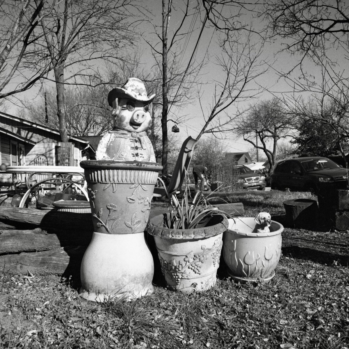 TriXFilm's tweet photo. Piggy Planter • Austin, Texas, USA
Rolleiflex SL66 • Kodak Tri-X 400 • 2023
#Kodak #TriX #ATX #TX #film #camera #120film #BWfilm #photography #Austin #Texas #Rolleiflex #SL66 #Monochrome #Outdoors #Piggy #Planter #Display #Garden #Creativity https://t.co/9frGuN7ton