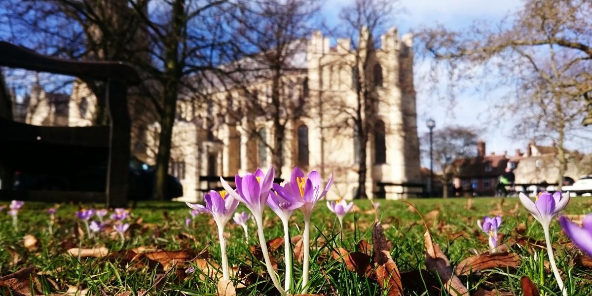 Today is the 1st March and St David's Day. Time to celebrate with a photo to remind us that spring is just around the corner!
#springtime #stdavidsday #canterburycathedral