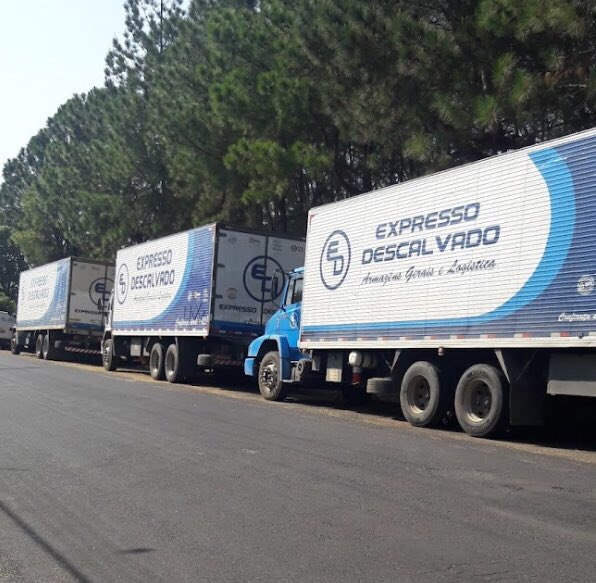WiillOliveira3's tweet photo. Você era calvo fez implante capilar e em seguida abriu uma transportadora 

Eis que surge: https://t.co/VsAtjB9nUL