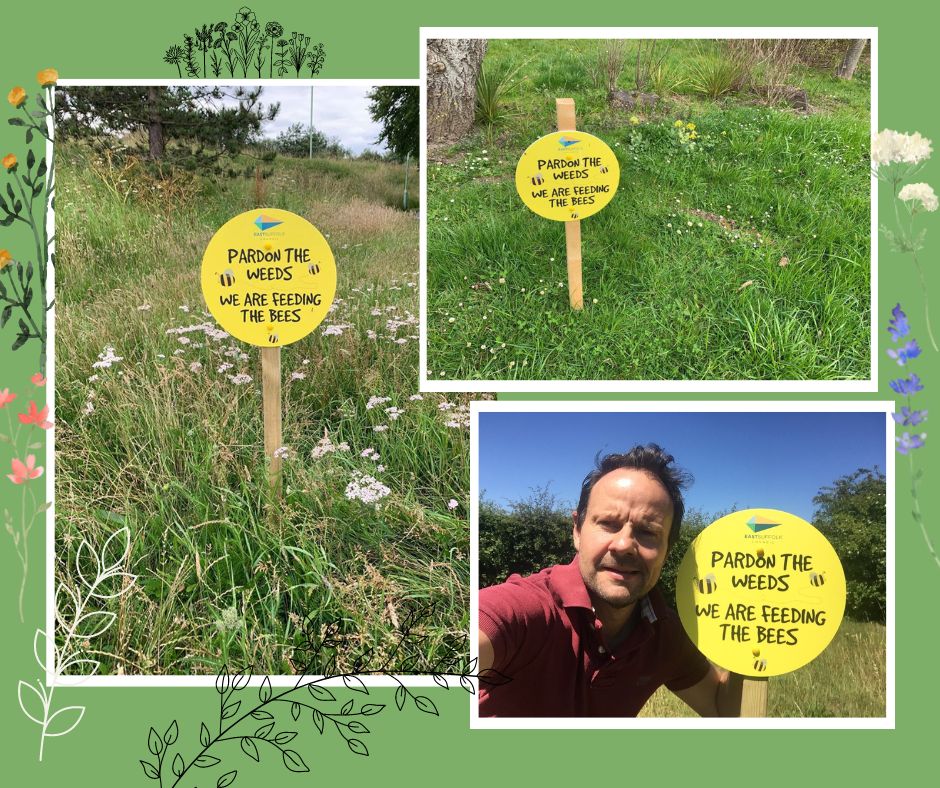 EastSuffolk's tweet photo. An annual scheme to promote biodiversity and cultivate East Suffolk’s wildlife population is set to return for a third year. 
Launched in 2020, the ‘Pardon the Weeds, We’re Feeding the Bees’ campaign allows green spaces to grow and thrive with wildlife.
https://t.co/GXpzGktsOw https://t.co/ByPdNSjS5g