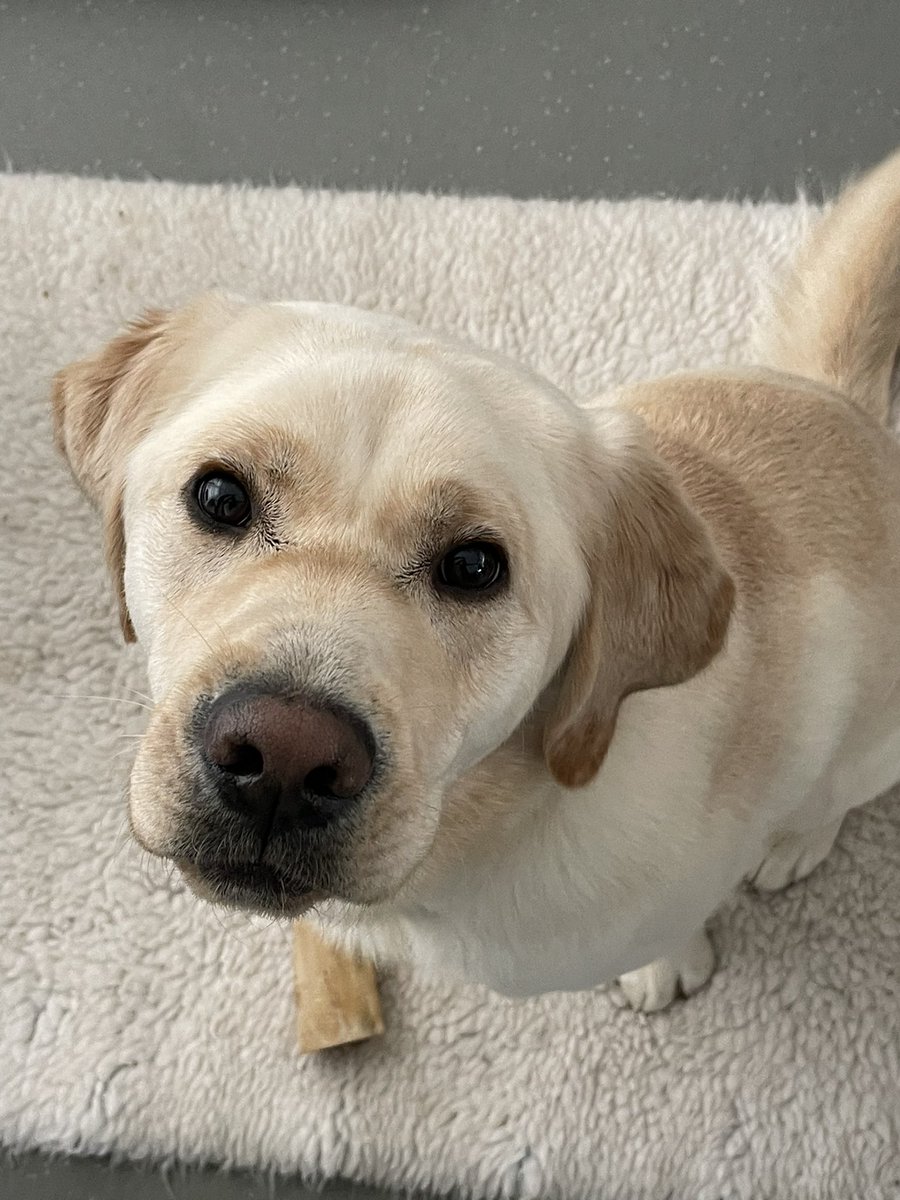 adored earth tweet media