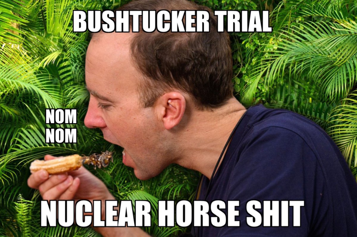 BorisCummings7's tweet photo. @BladeoftheS #MattHancock
#Whitty 

How about a bushtucker trial? https://t.co/Zbb3yVRJuB