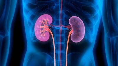 In our latest clinical update, we summarise the two ongoing gene-editing clinical trials for renal cell carcinoma, which is the most common form of kidney cancer found in adults.

Read it here: bit.ly/3J0uf6O 

#crisprmedicinenews #crisprmedicine #renalcellcarcinoma