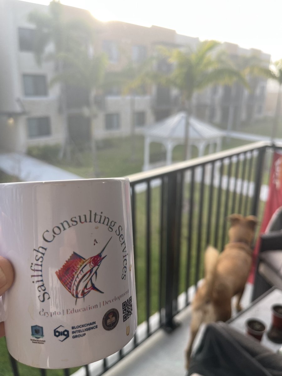 SailfishCrypto's tweet image. GM coffee!! 

#doge #dog #potcake #morning #successful #degen