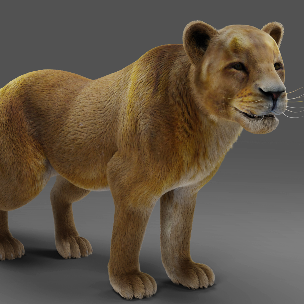 3d Animal Factory tweet media