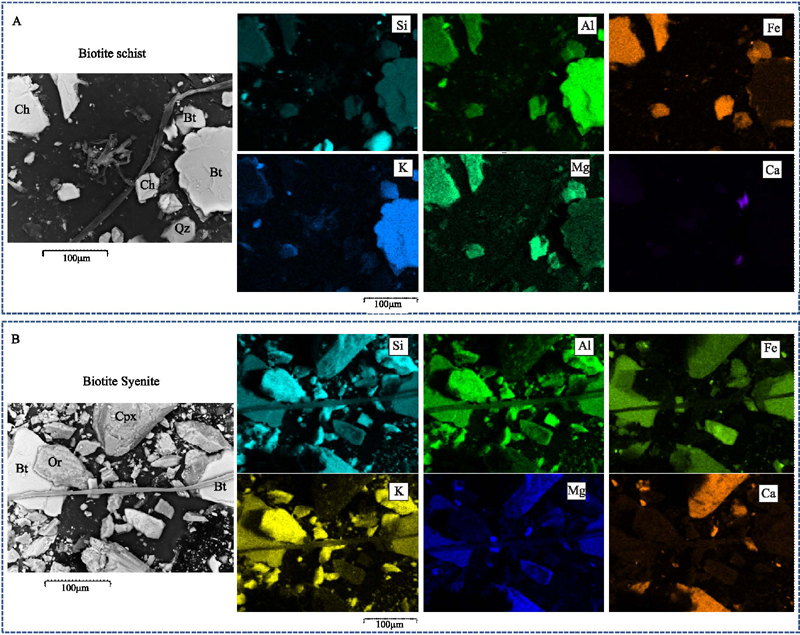 EmbrapaJournals's tweet image. Pure &amp;amp; ground #biotite schist (BSC) &amp;amp; biotite syenite (BSY) 🪨rock samples are sources of macro- &amp;amp; micronutrients for 🌽 plants.
BSC releases + nutrients to plants grown in pure &amp;amp; ground 🪨 than BSY.
Read the🆓article at
doi.org/10.1590/S1678-…

#agromineral #nutrientavailability