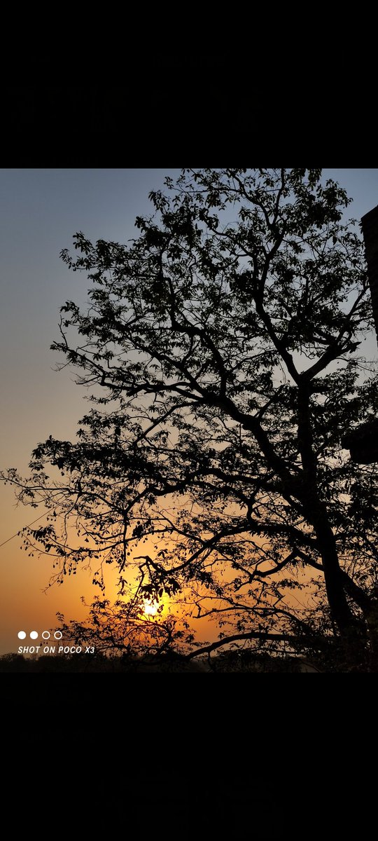SouravA89843703's tweet image. 😍
#mobilephotography
#photography 
#pocox3 
#nature