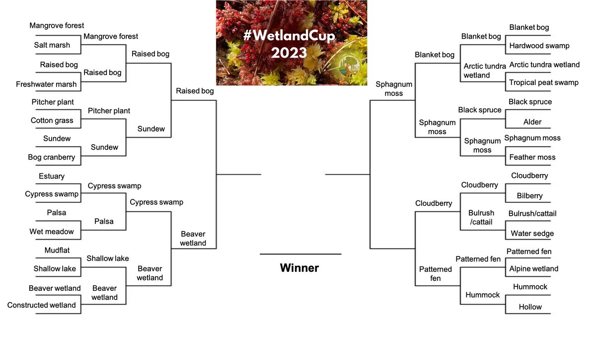 With 66% of the vote - sphagnum moss has taken the win #WetlandCup
