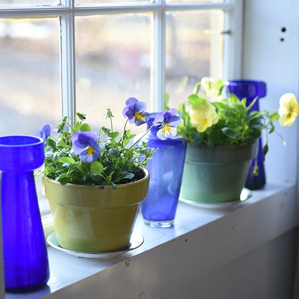 It's March!
That means you’re suddenly being serenaded by peep frogs, amorous birdies, and antsy animals revving up for strong onslaughts of spring fever. But March has another sound entirely...

👉 coastofmaine.com/feed-me/