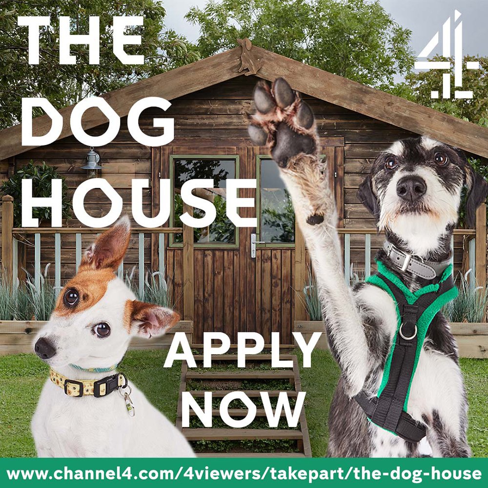 Could you provide a loving home for a rescue dog? The BAFTA-Nominated Channel 4 series, The Dog House is casting for those who are seriously considering bringing a rescue dog into their lives &amp; are willing to share their reasons for doing so. Apply: bit.ly/3Zg98D5